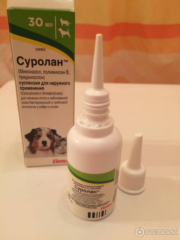 Суролан: ушные капли для кошек, инструкция по применению, состав и назначение, отзывы