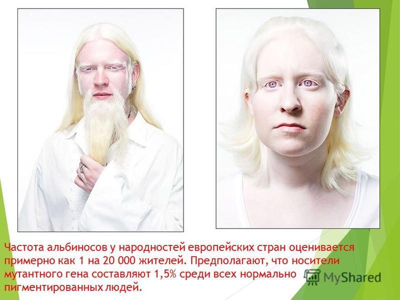 Доберман: полное описание породы, характер, условия содержания