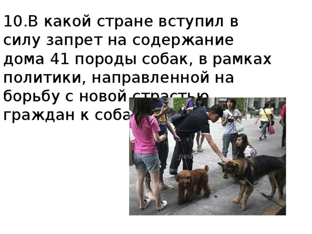 Почему собак нельзя держать при храмах