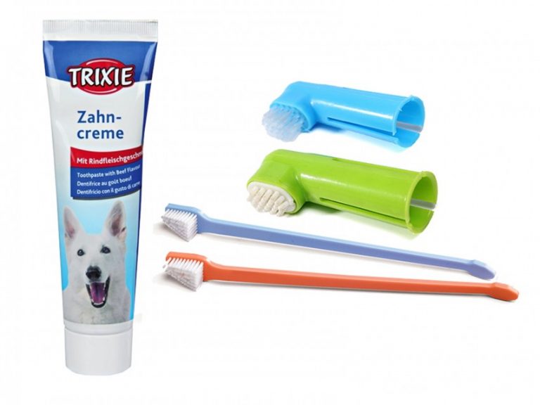 Чем заменить зубную пасту: 15 вариантов замены зубной пасты