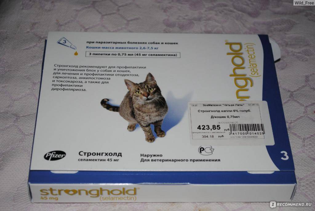 Вазелиновое масло для кота при запорах: показания и противопоказания, инструкция по применению