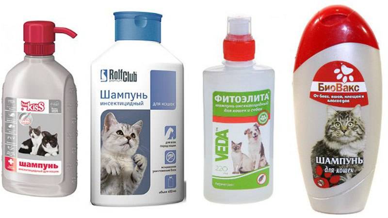 Шампуни от блох для кошек и котят: инструкция по применению, советы и отзывы