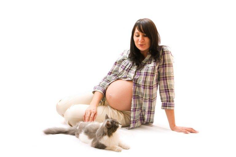 Токсоплазмоз, беременность и кошка