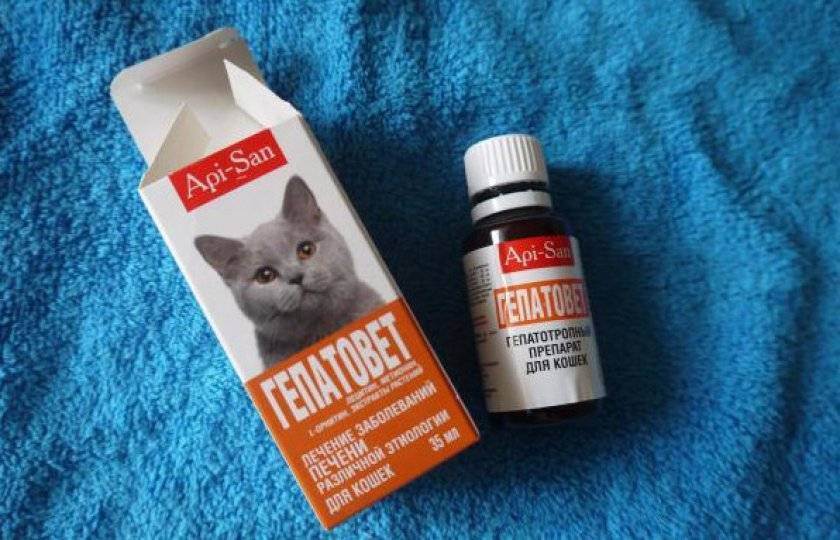 Препарат гепатолюкс: помощь в борьбе с заболеваниями печени у кошек