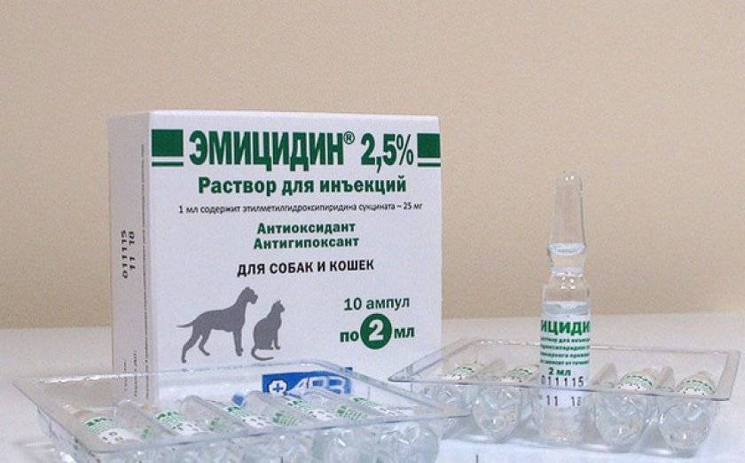 Как давать эмицидин кошке - zhivomag
