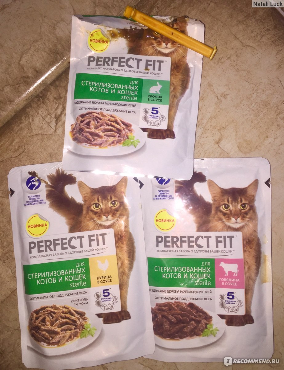 Обзор корма для кошек perfect fit