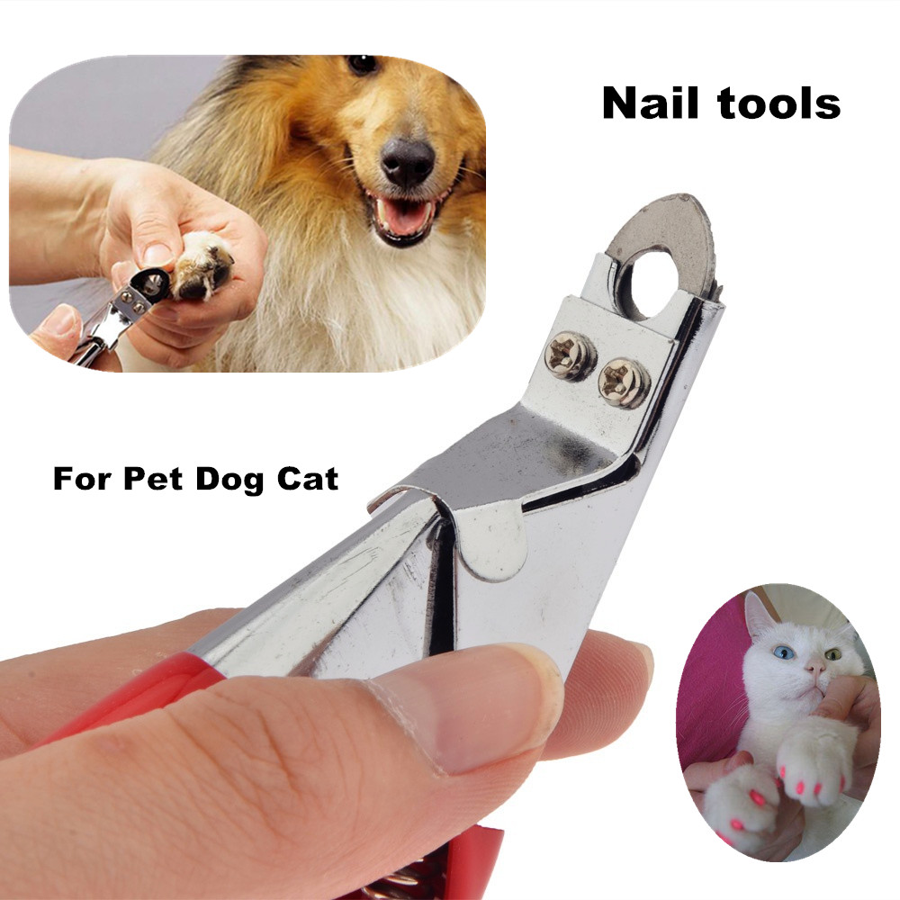 Как правильно подстричь когти собаке гильотиной