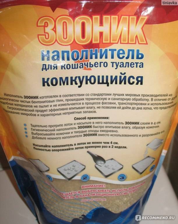 Котёнок ест наполнитель для туалета – что делать?