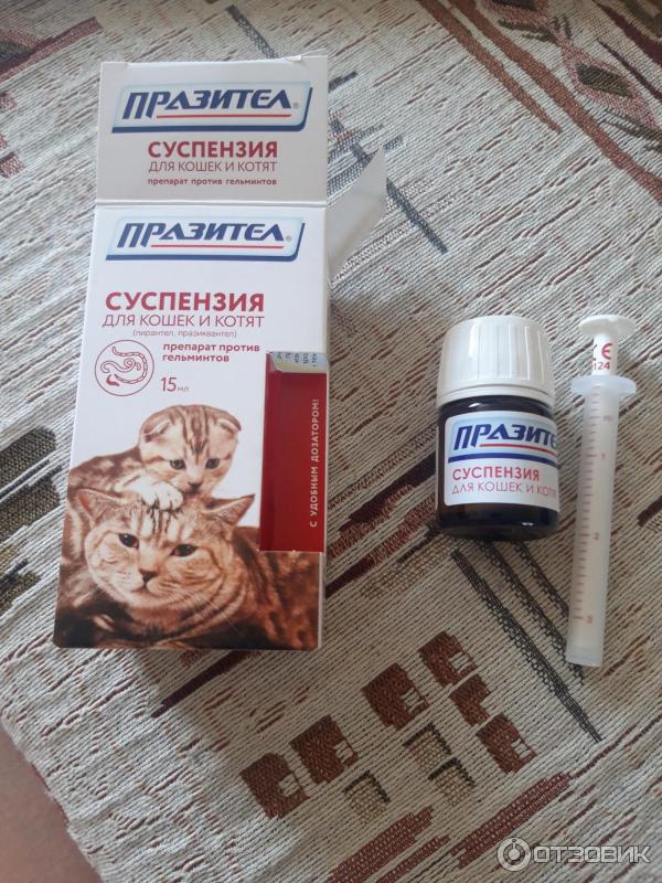 Таблетки "празител" для кошек: инструкция по применению, показания, отзывы :: syl.ru