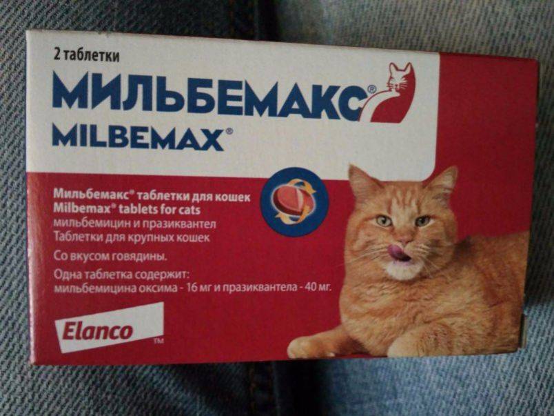 Мильбемакс для кошек: инструкция по применению, отзывы ветеринаров