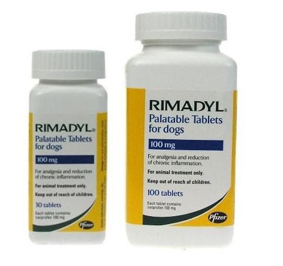 Римадил для собак: применение, побочные эффекты и альтернативы