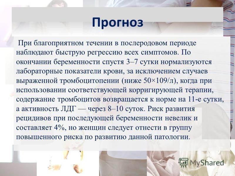 Эклампсия у кошек и собак - ветеринарная клиника доктора шустовой