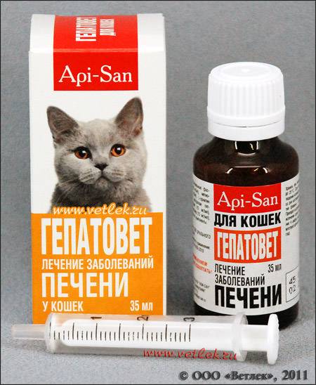 Болезни печени у кошек | апиценна