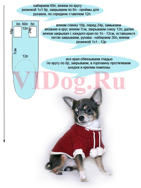 Как связать свитер для собаки: спицами, крючком, мастер-классы с фото, схемами, видео для начинающих