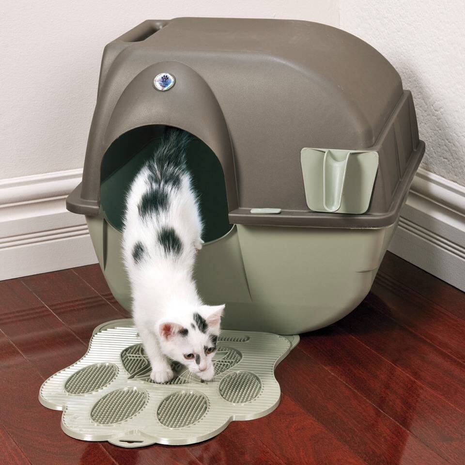 Какие бывают туалеты для кошек, какой лучше: лоток, домик, автоматический самоочищающийся и другие