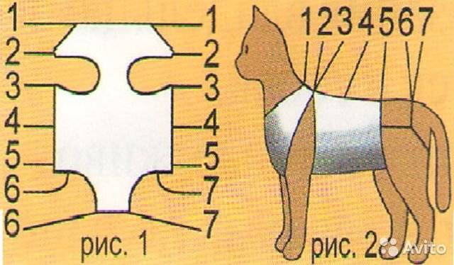 Попоны для кошек: виды, выбор и использование | блог ветклиники "беланта"