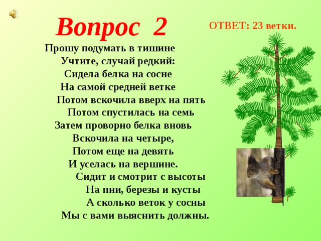 Почему у сосны нижние ветки. Сидела белка на сосне на самой. С ветки на ветку. Бельчонок спускался с ветки на ветку. Прошу подумать в тишине учтите случай редкий.