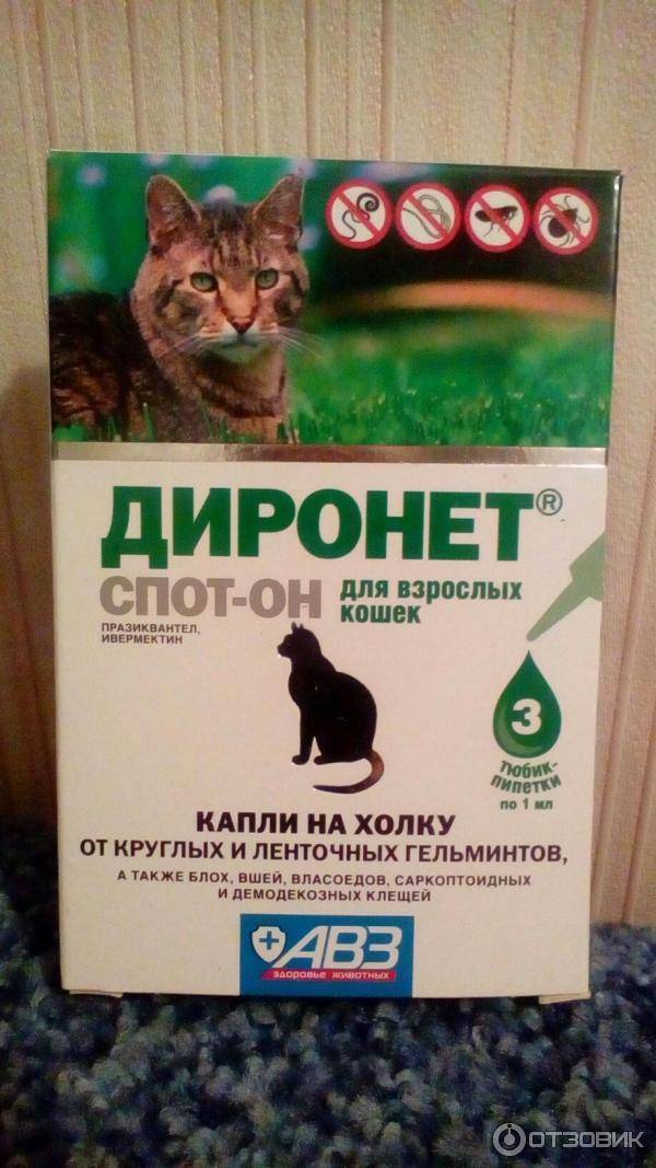 Какие таблетки нельзя делить, ломать и разминать. маркировка неделимых лекарств