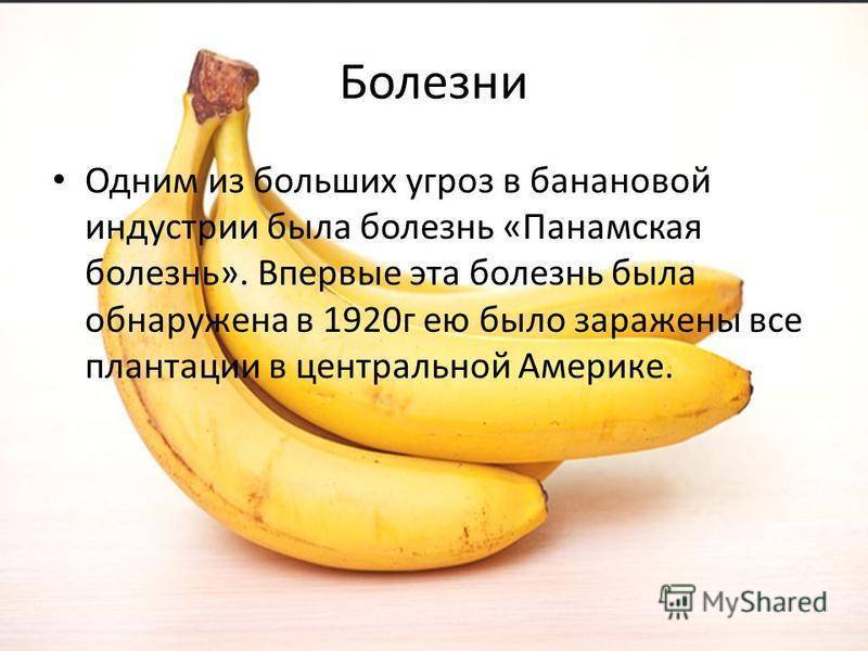 Бананы польза и вред для мужчин. Банан доклад. Интересные факты о бананах. Банан для презентации. Бананы тема для презентаций.