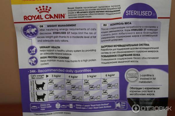 Как выбрать «роял канин» для вашей кошки?