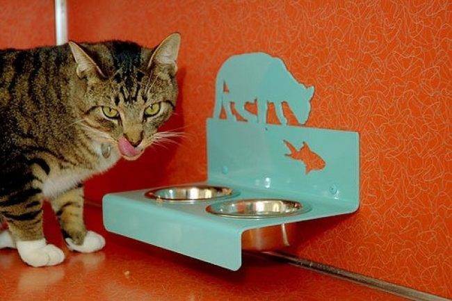 Миски для кошек (28 фото): интеллектуальные кормушки с ковриком и миски на подставке, керамические миски и другие варианты для кота и котят. какую лучше выбрать?