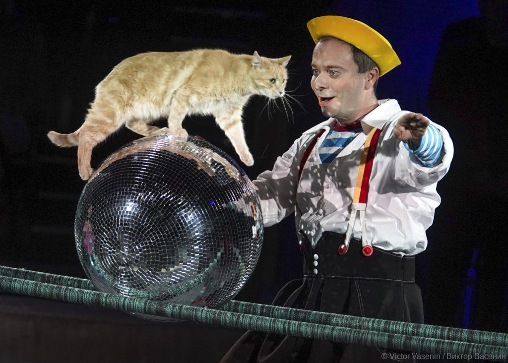 Юрий куклачев