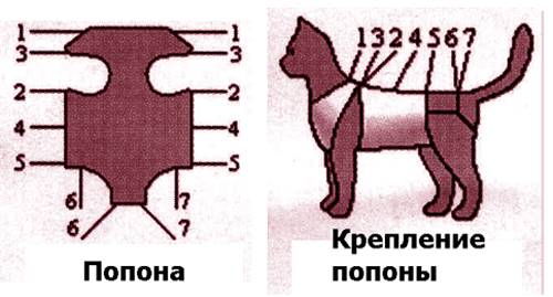 Бандаж для кошки: выкройки и инструкция по изготовлению