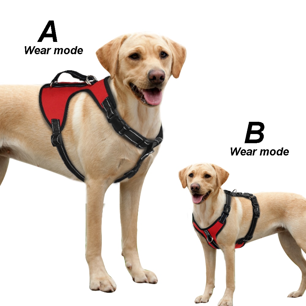 Как правильно одеть шлейку на собаку: пошаговая инструкция, фото, видео