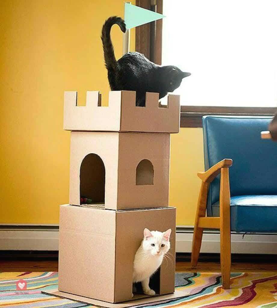 Как сделать домик для кота своими руками: 13 идей