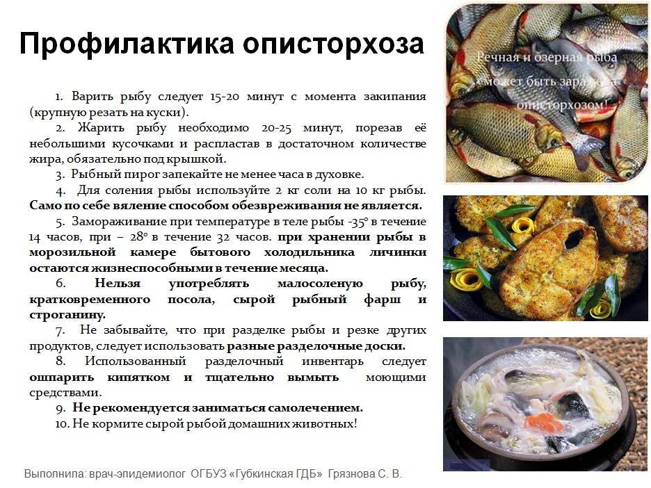 Описторхоз у кошек