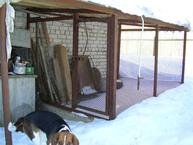 Разрешается ли содержание лабрадоров в зимний период на улице в будке и вольере
