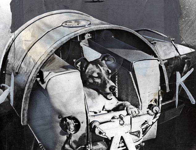 Сколько собак летало в космос. Лайка 1957. Первая собака космонавт лайка. Собака лайка 1957. Собака лайка на спутнике 2.