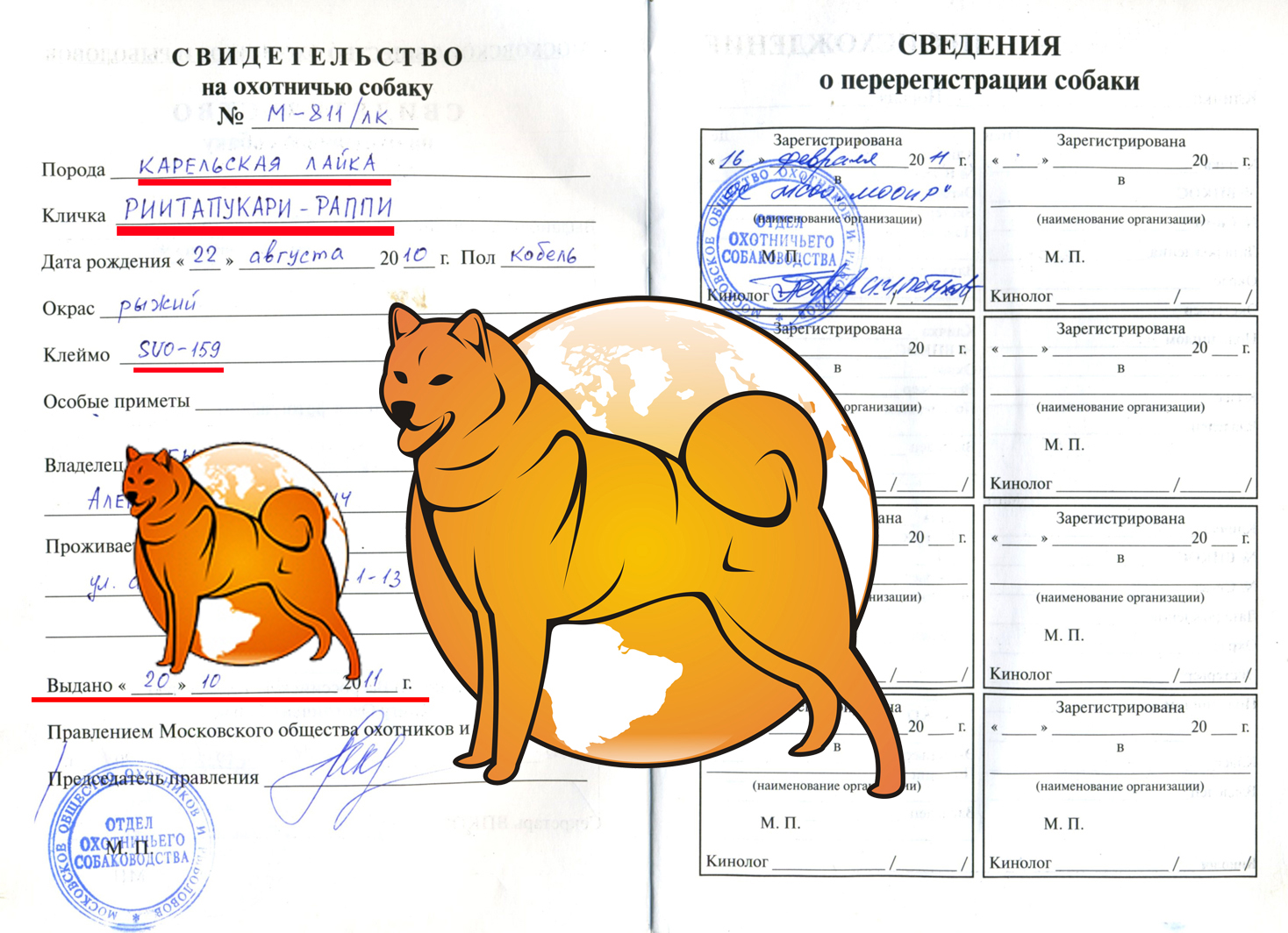 размер фото на паспорт собаки