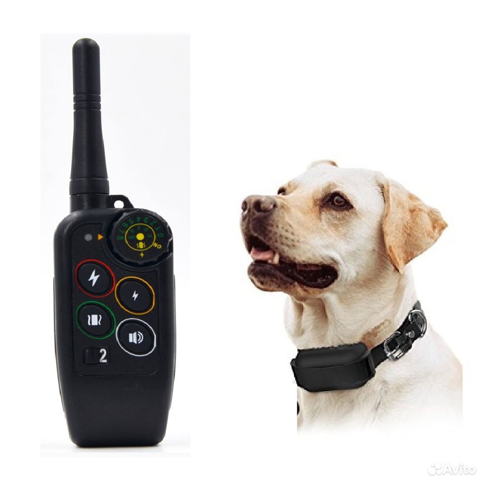 Ошейник антилай: для больших и маленьких собак, ультразвуковой, спрей и стационарный, а также как работает это устройство