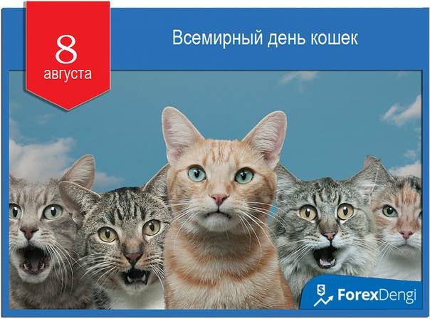 День кошек: в россии и странах мира