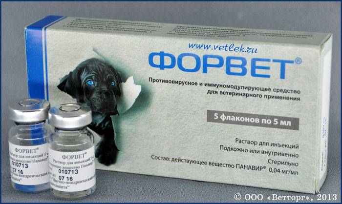 Форвет - инфекционный перитонит у кошек (фип)