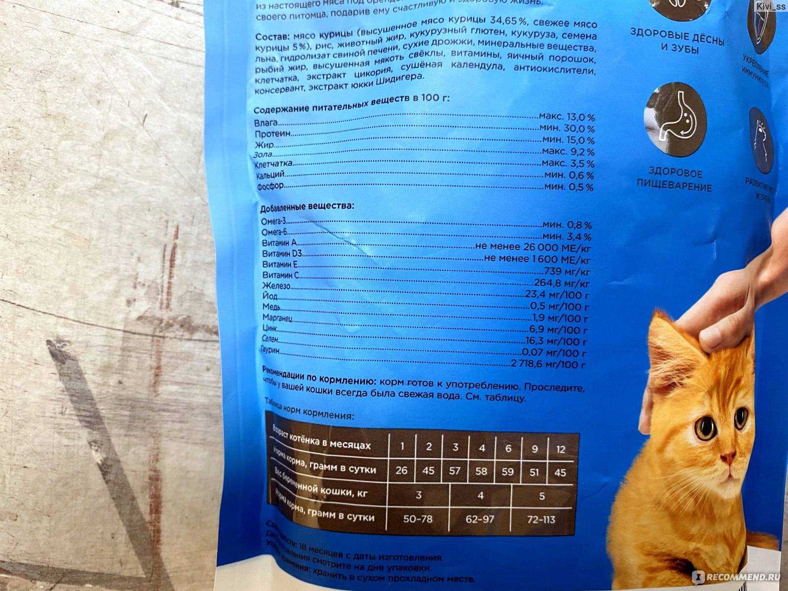 Секреты правильного выбора корма acana для котят и кошек