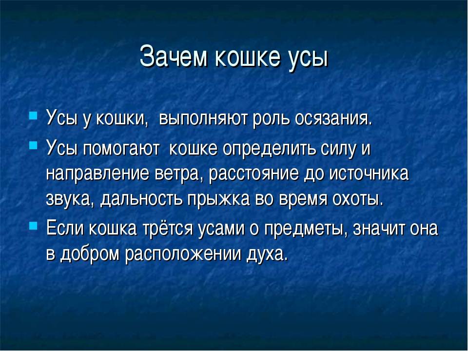 Зачем усы. Зачем кошке усы. Зачем кошкам усики. Зачзачем коту нужны усы?. Презентация зачем кошке усы.