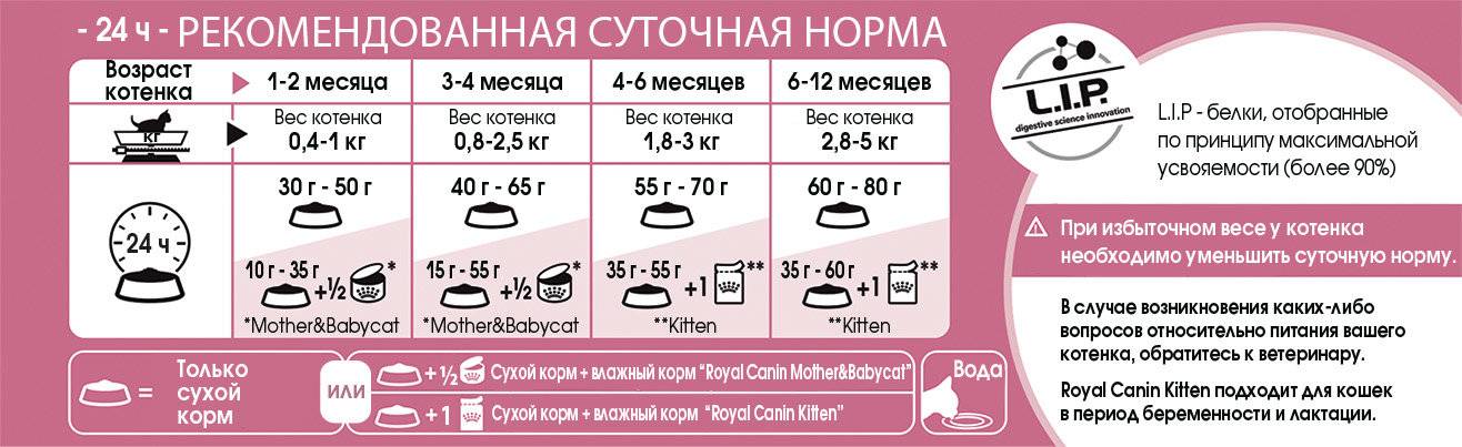 Сколько дней надо дать. Сколько сухого корма давать котенку в 2 месяца. Норма корма для котенка 2 месяца сухим кормом. Сколько сухого корма давать котенку в 2 месяца в день. Норма сухого корма для котят в 1,5 месяца.