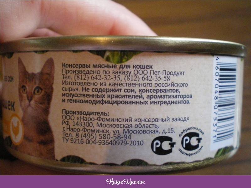 Влажные корма для кошек: обзор популярных марок