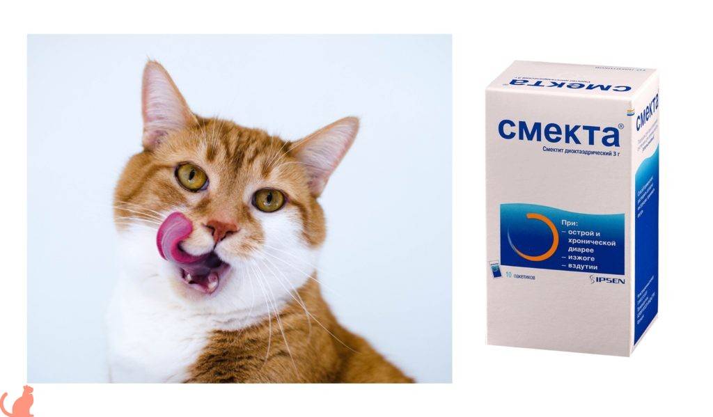 Можно коту смекту. Таблетки для котов от диареи. Капли от поноса для кошек. Лекарство от поноса для кошек. Таблетки для котов от жидкого стула.