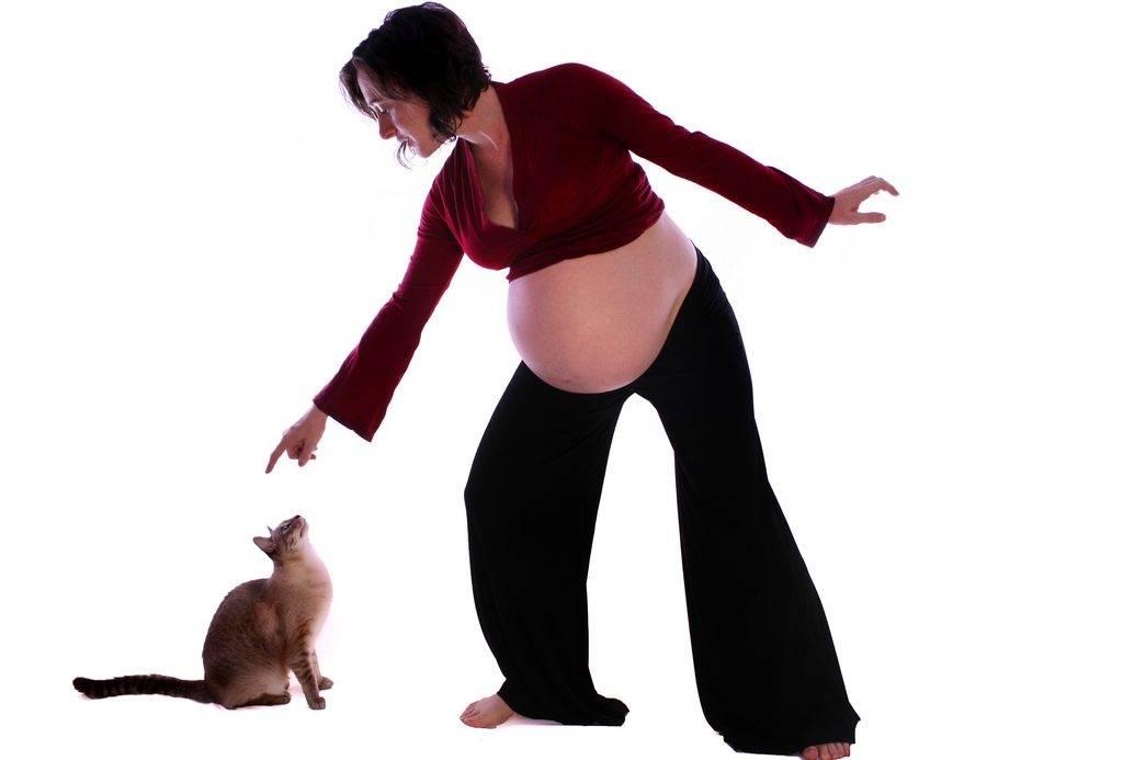 Беременность и домашние животные - как совместить? - беременность