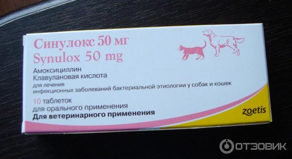 Амоксициллин для кошек - инструкция по применению препарата