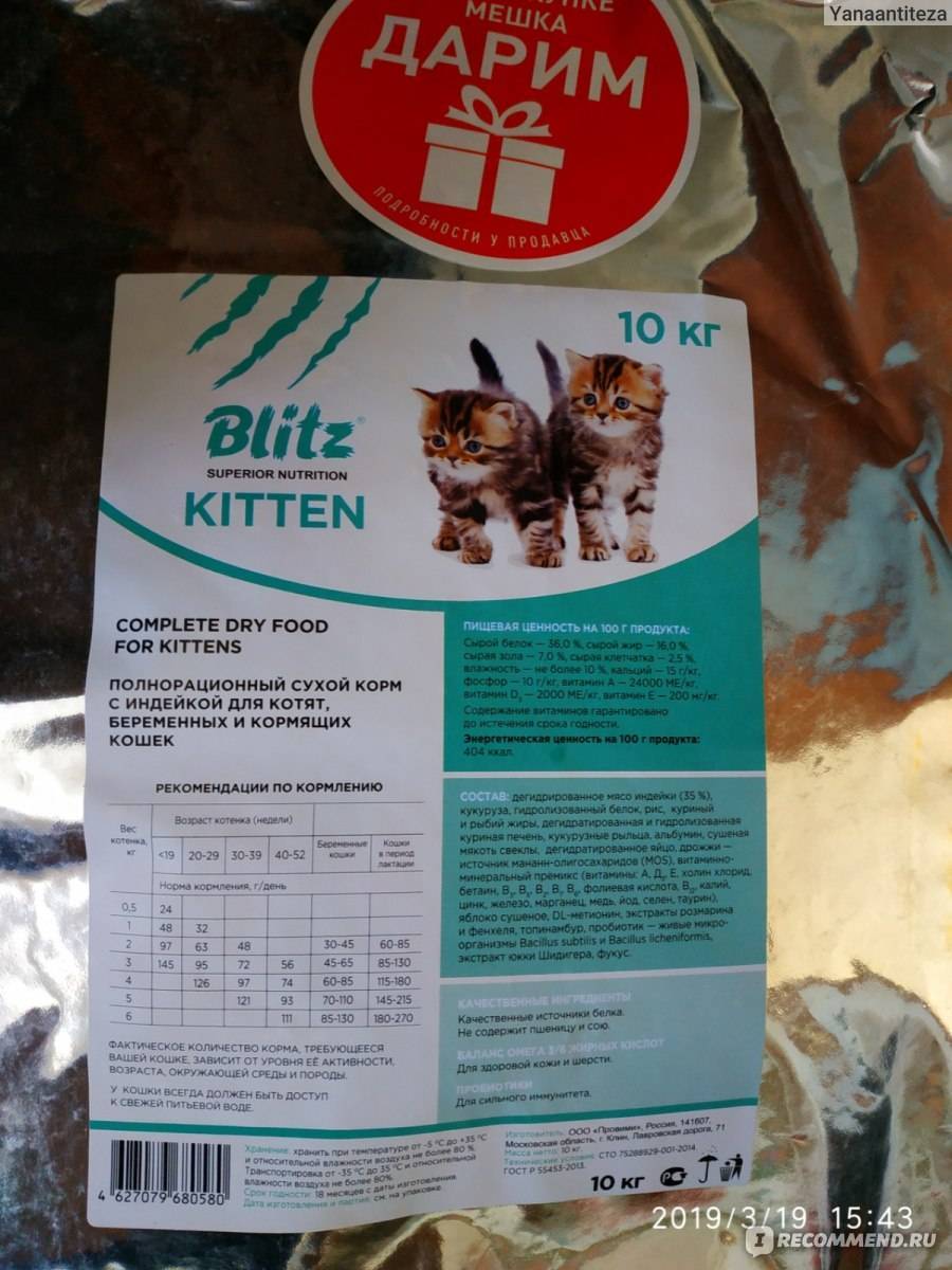 Почему стоит выбирать корма для кошек blitz: обзор, отзывы