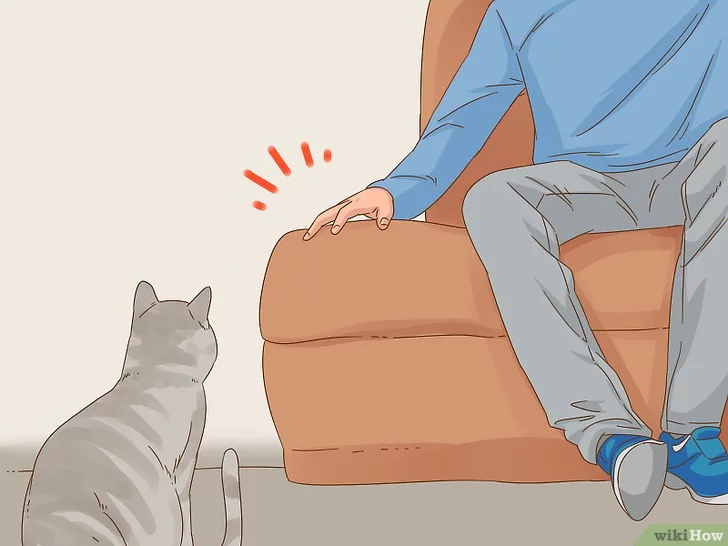 Как общаться со своим котом - wikihow