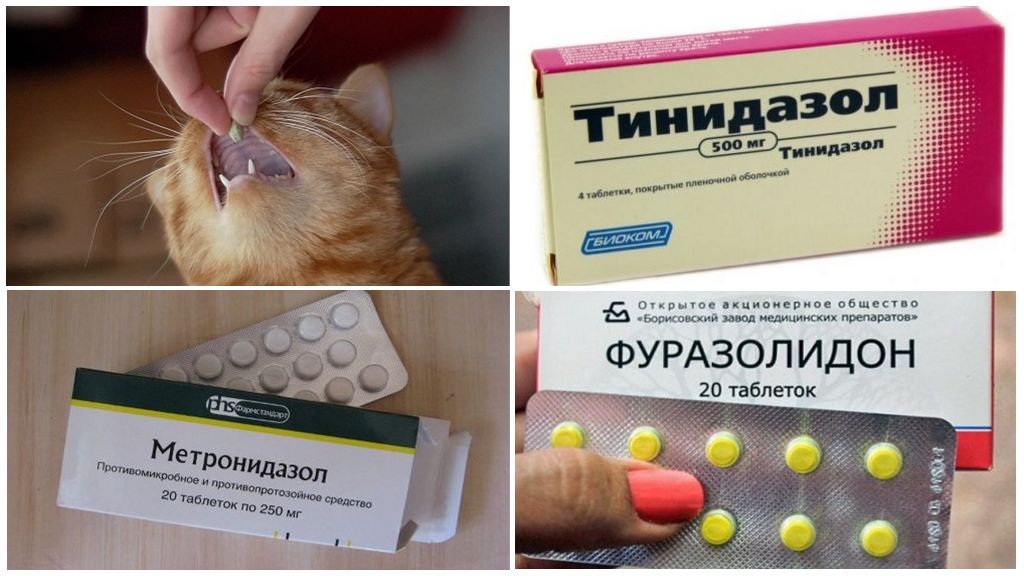 Бронхит  у детей - опасность, симптомы, причины, лечение | детская пульмонология см-клиники в спб