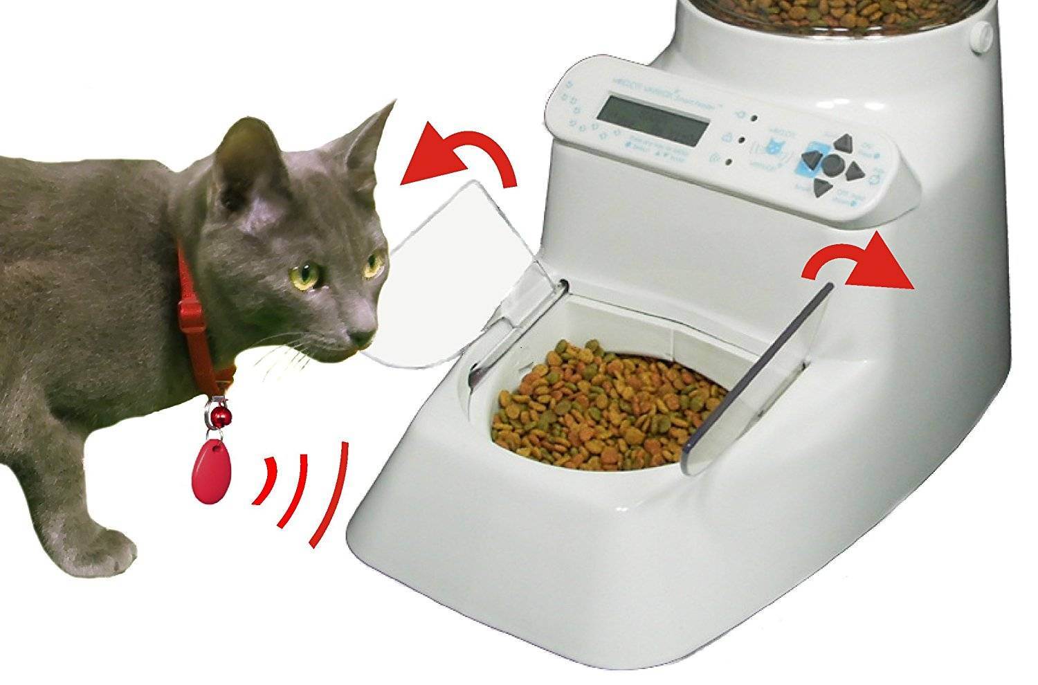 Топ-8 автоматических кормушек для кошек и собак