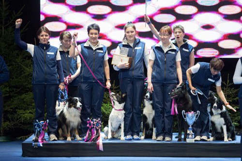 World dog show