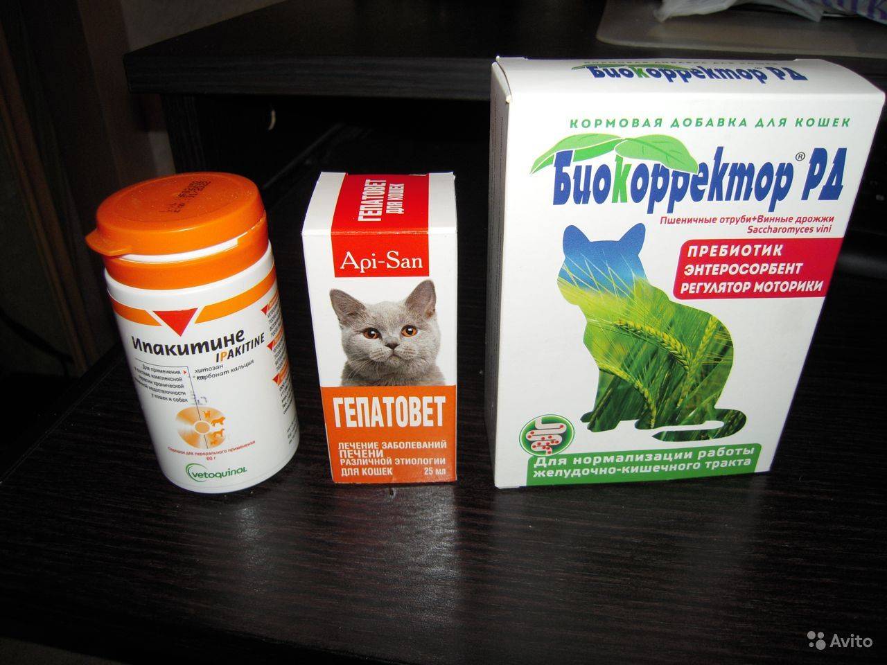 Ипакетине (ипакитине) для кошек: инструкция по применению препарата и отзывы
