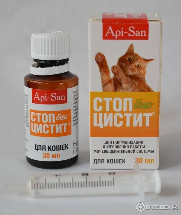Стоп цистит для кошек: эффективный препарат!